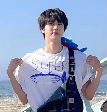 BTS 방탄 진 착용 슈퍼 참치 티셔츠 어패럴 참치