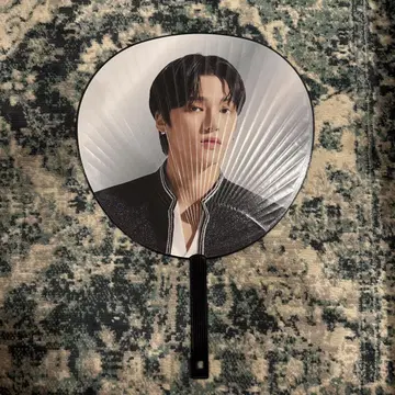 Woo Young 부채