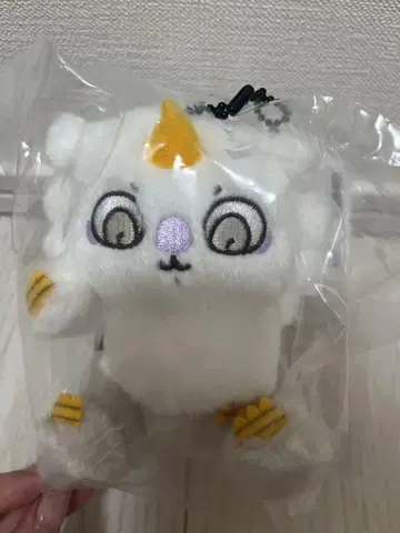 치이카와 아노코 마스코트 초 매지컬 치이카와 아노코