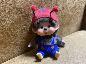몽치치 무당벌레
