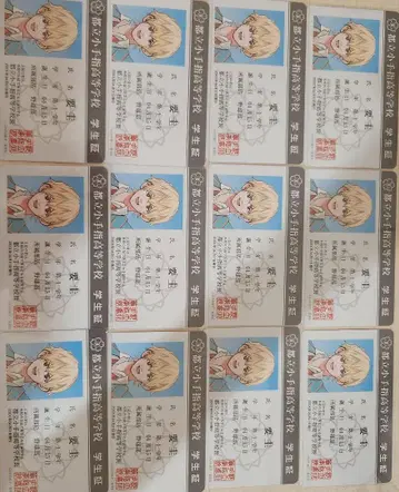 학생증풍 보이스 카드 12매