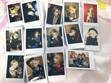 V계 Royz 스바루 체키 세트 판매