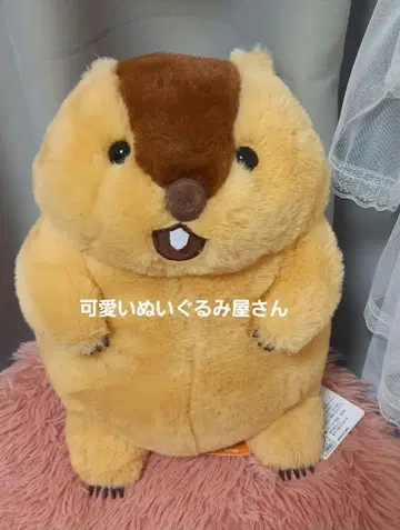 마모트의 모토토 봉제 인형 아타로