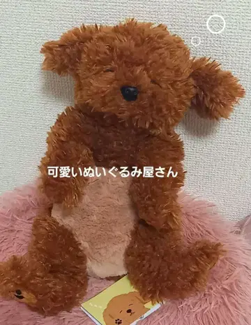 레어템 산 레몬 무릎 강아지 스야스야 토이 푸들 봉제 인형