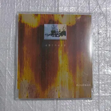deadman 데드맨 비 오는 해바라기