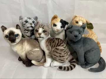 REAL CAT 고양이 봉제 인형 세트