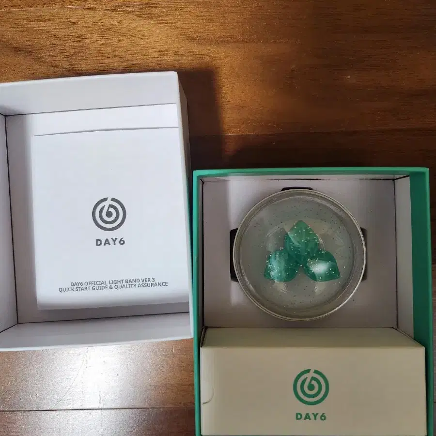 DAY6 ③ day6_lightband3.jpg