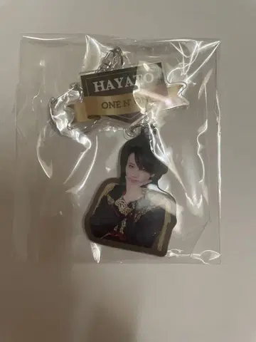 HAYATO 에비라이 아크링 키링