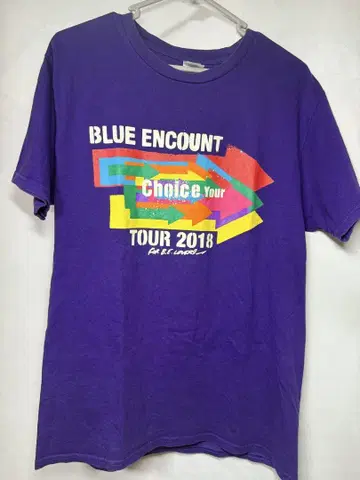 BLUE ENCOUNT 투어 T셔츠 L 사이즈