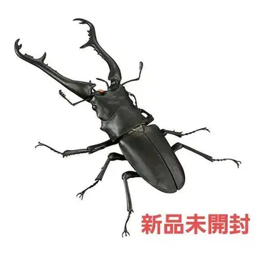 기라파노코기리 사슴벌레 케이스케이 생물대도감 어드밴스 미개봉 새상품