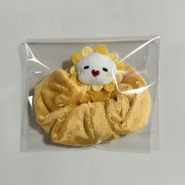 제오참 스크런치 Bira