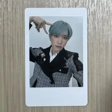 판다드래곤 타이가 하피카4