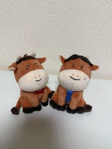 모후모토 와규 세트 미즈타 신지, 카와니시 켄시
