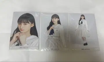 카와사키 벚꽃 오미타테카이 브로마이드