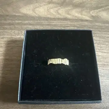 CANAL Accessory 골드링