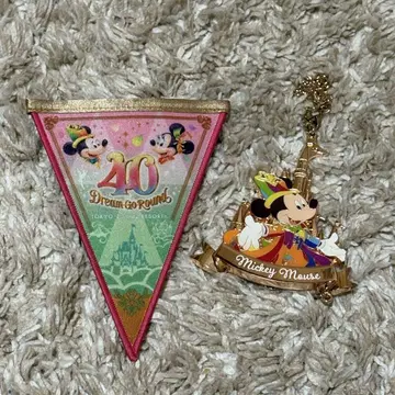 디즈니 40주년 드림 가랜드 백참