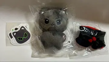 미개봉 새상품 망토 포함 ENHYPEN 제이 봉제인형 10cm 마스터