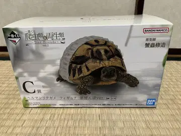 제일복권 파충류 및 양서류 C상 헬만리쿠가메 피규어 방에서 놀기 ver