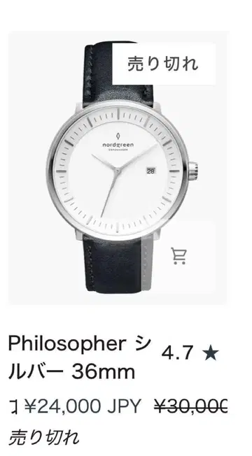 현재 완판 nordgreen Philosopher 실버 36mm