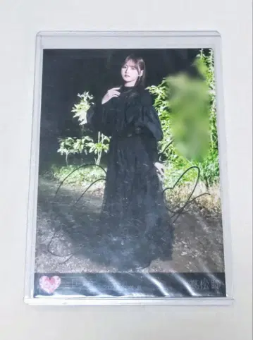 =LOVE 이코러브 브로마이드 타카마츠 히토미 자필 히키 댓글 포함