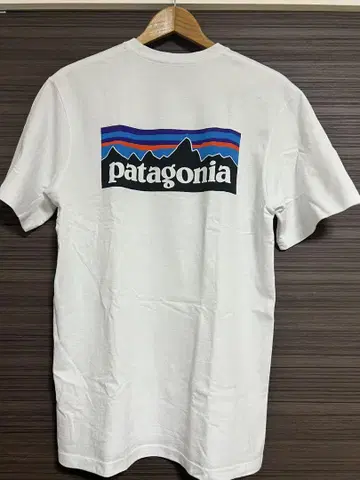 Patagonia 파타고니아 백 프린트 티셔츠