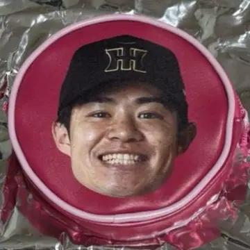 한신 타이거즈 나카노 타쿠무 선수 시크릿 얼굴 패턴 미니백