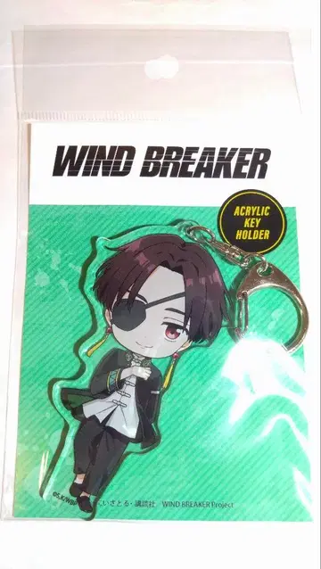 WIND BREAKER 윈드브레이커 아크릴 키링 스오우 하야토