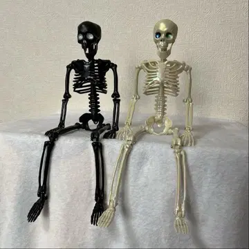카쿠카쿠 해골 피규어