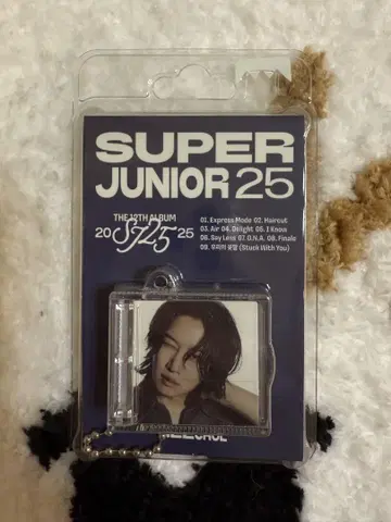 SUPER JUNIOR 25 Smini 버전 희철