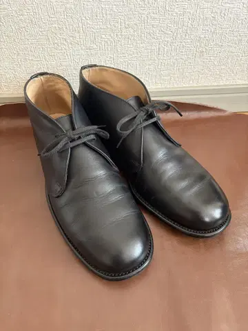 썬더스 B.G.S. 컬렉션 처카 부츠