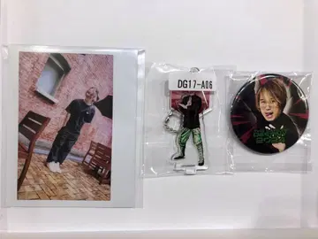 드래곤 게이트 호호 룬 선수 묶음 판매