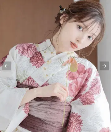 다이쇼 로망 모란요세 DITA 유카타 세트