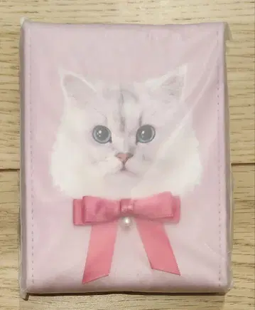 니시노 카나 오리지널 캣 미러 미사용 새상품