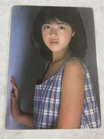 기쿠치 모모코 책받침 쇼와 레트로