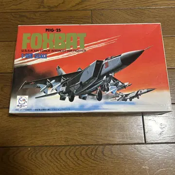 MIG-25 폭스배트