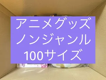 애니메이션 굿즈 논장르 잡화 대량 묶음 판매 100 사이즈 세트