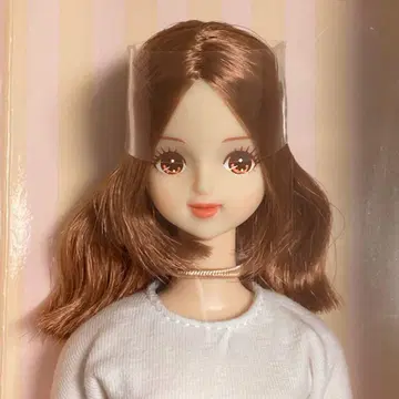 리카짱 캐슬 미라이 산노미야 오리지널 모델 제니 프렌드