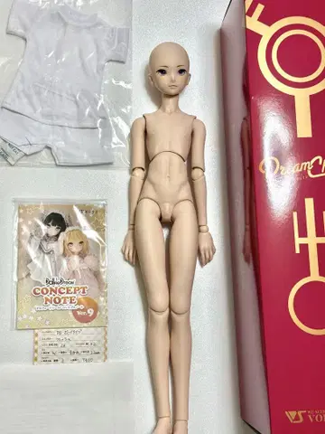 [도리초] DD 보이 타입 / 프레쉬 피부