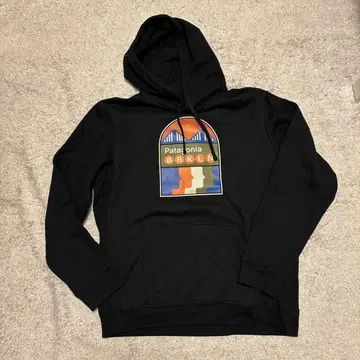 Patagonia 블랙 후드 부착 후드티