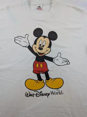 Walt Disney World 미키마우스 USA제 90년대 후르츠