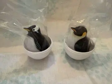 은은하게 빛나는 귀여운 펭귄 라이트 황제펭귄 젠투펭귄