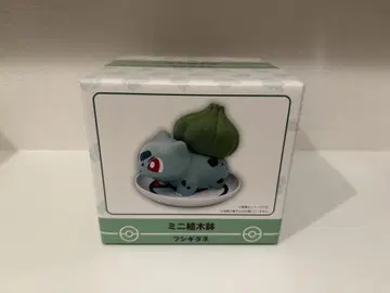 미니 화분 이상해씨