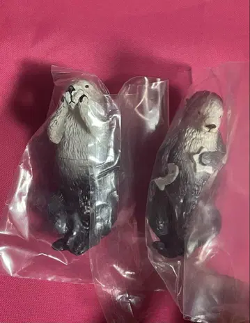 Puka Puka 랏코의 메이와 키라 가챠가챠