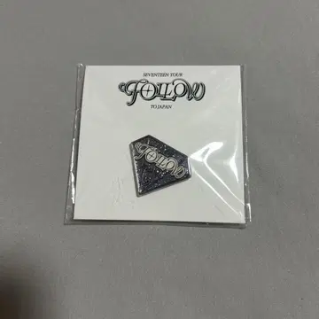 SEVENTEEN Follow To Japan 핀배지 아이치