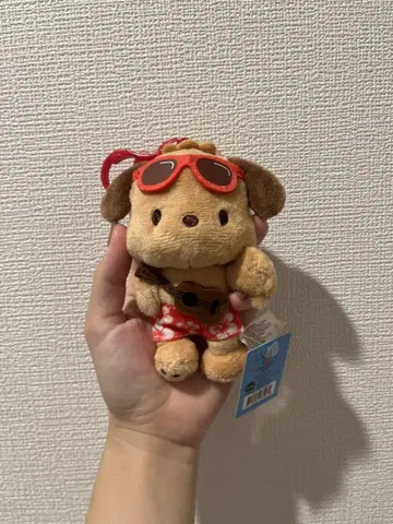 하와이 산리오 포차코 키링 봉제 인형