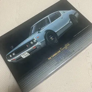 SKYLINE HT2000GT-R 프라모델