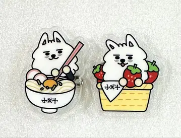 TXT 지역 한정 풀바두 배지 카가와 후쿠오카 연몽 수빈