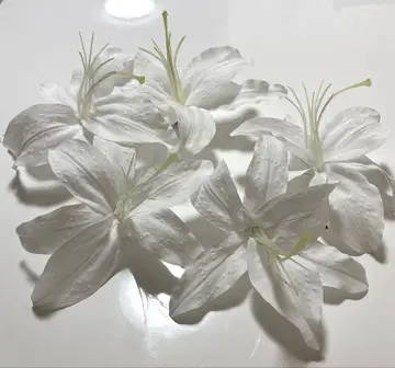 카사블랑카 머리 장식 새상품급