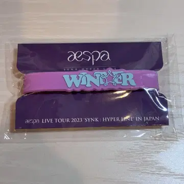 aespa 응원봉 액세서리 윈터 winter