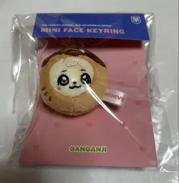 Ive MINIVE 유진 칸안지 미니 페이스 키링 타코야키 도쿄